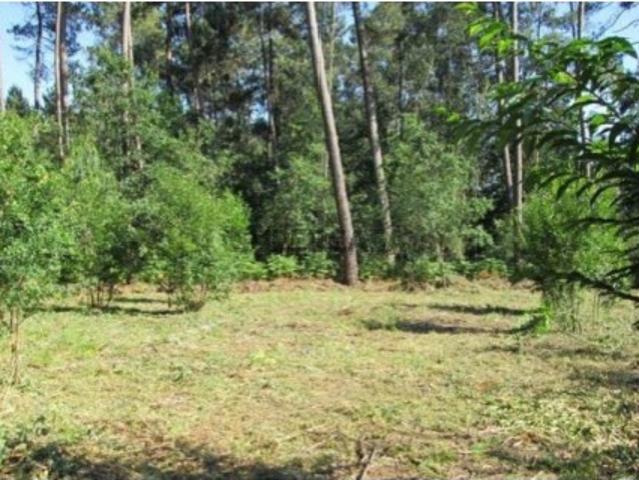 Terreno venda em Boalhosa, Viana Do Castelo