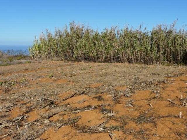 Terreno venda em Mafra, Lisboa