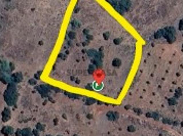 Terreno venda em São Bartolomeu De Messines, Faro