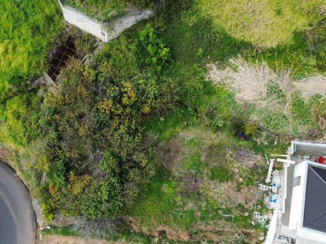 Terreno venda em Pico da Cruz, Ribeira Brava