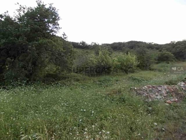 Terreno venda em Arruda Dos Vinhos Terreno venda em Arruda Dos Vinhos
