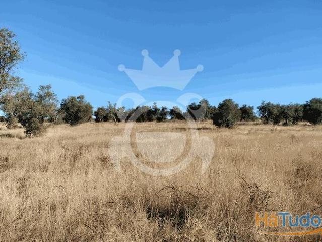 Terreno venda em Redondo, Évora