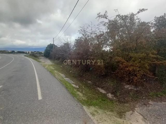 Terreno venda em Castelo Branco
