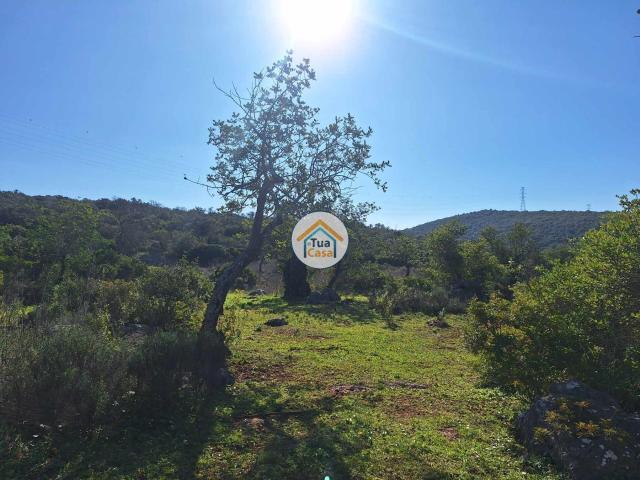 Terreno venda em São Brás De Alportel, Faro