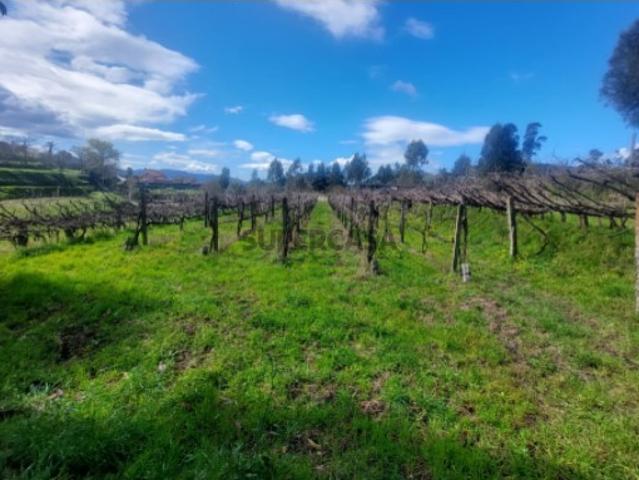 Terreno venda em Boalhosa, Viana Do Castelo
