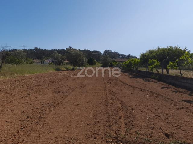 Terreno venda em Pombal, Vermoil