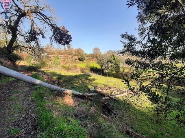 Terreno venda em Arcos De Valdevez, Viana Do Castelo