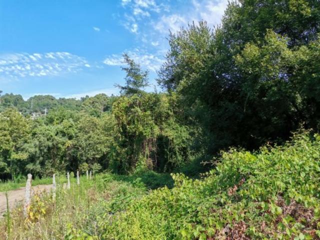 Terreno venda em Boalhosa, Viana Do Castelo