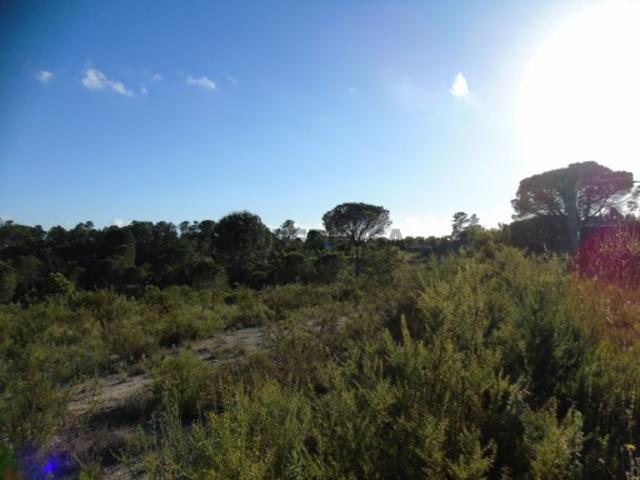 Terreno venda em Tomar, Santarém