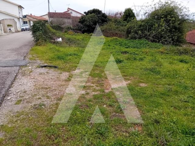 Terreno venda em Anadia, Aveiro
