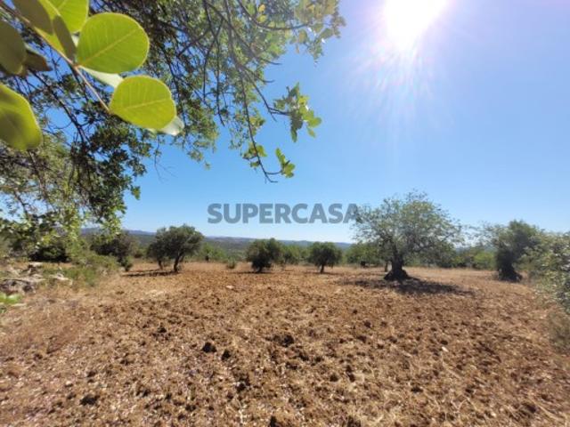 Terreno venda em São Brás De Alportel, Faro