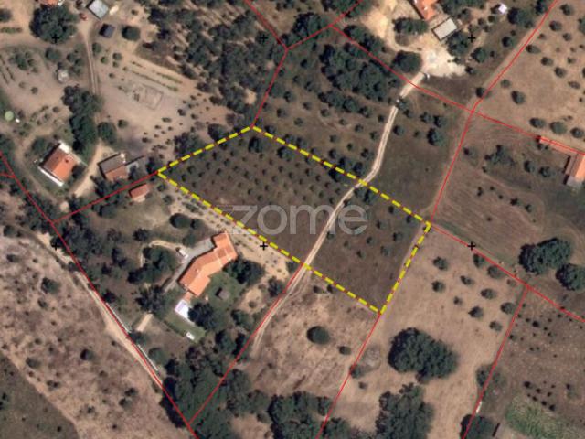 Terreno venda em Grândola, Setúbal