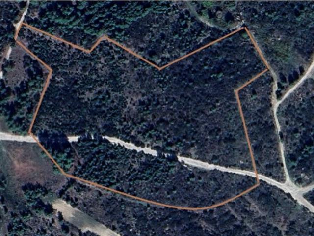 Terreno venda em Alijó, Vila Real
