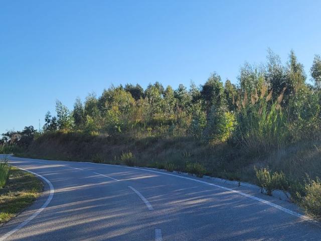 Terreno venda em Ferrugenta, Figueira Da Foz