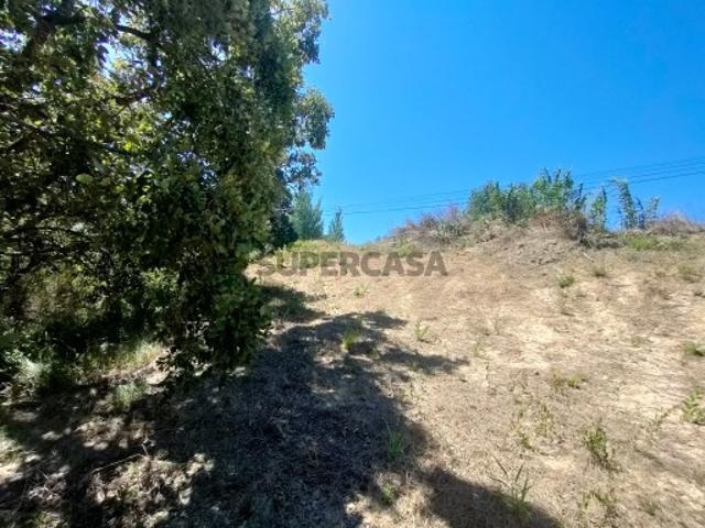 Terreno venda em Tomar, Fonte São Miguel