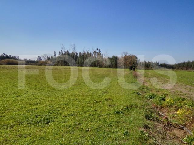 Terreno venda em Aveiro