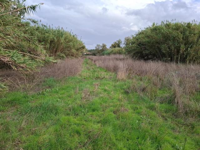 Terreno venda em Asseiceira Grande, Mafra