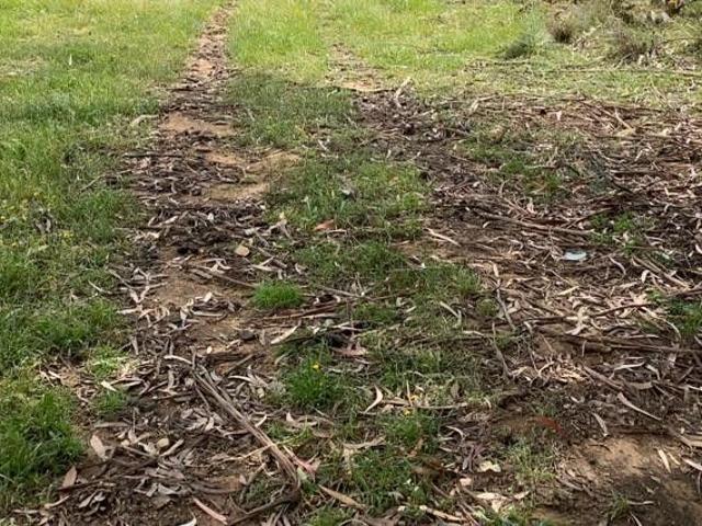 Terreno venda em Seda, Alter do Chão