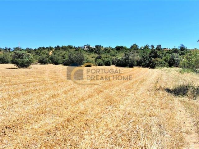 Quinta venda em Faro