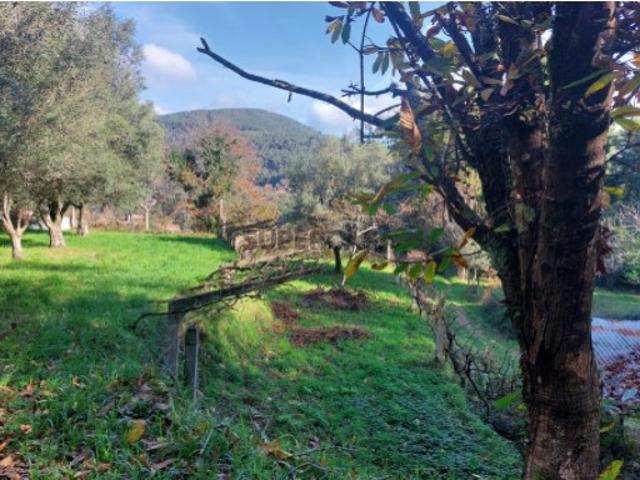 Terreno venda em Boalhosa, Viana Do Castelo