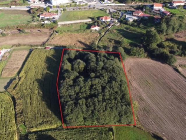Terreno venda em Boalhosa, Viana Do Castelo