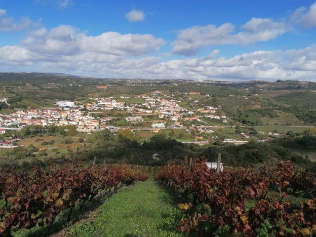 Terreno venda em Terraços de Bucelas, Santiago Dos Velhos
