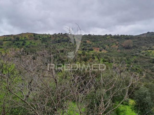 Terreno venda em Santa Catarina da Fonte do Bispo, Tavira