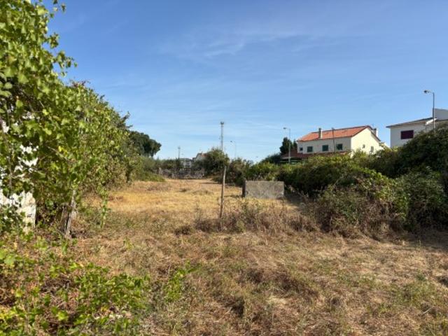 Terreno venda em Castelo Branco