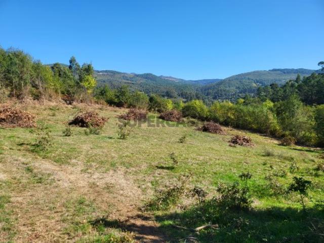 Terreno venda em Cabeceiras De Basto, Braga