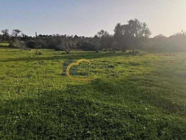 Quinta venda em Albufeira e Olhos de Água, Albufeira
