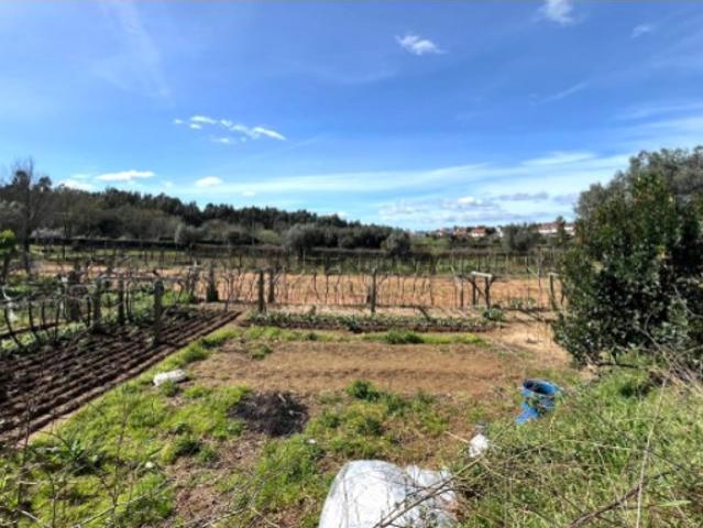 Terreno venda em Boalhosa, Viana Do Castelo