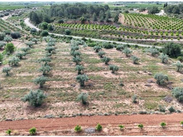 Local Comercial en venta en El Corral de la Marquesa, el Camp de Túria