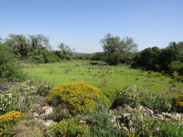 Terreno venda em Albufeira, Faro