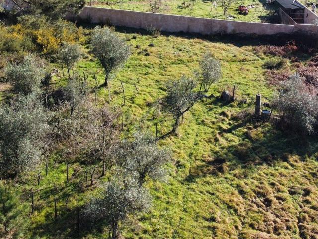 Terreno venda em Rebordinho, Viseu