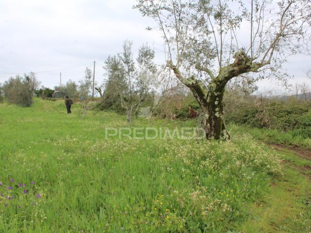 Terreno venda em Alvaiázere, Leiria