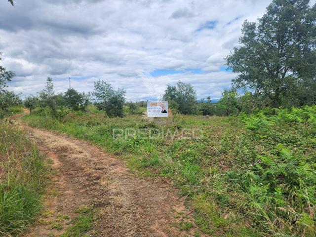 Terreno venda em Alvaiázere, Leiria
