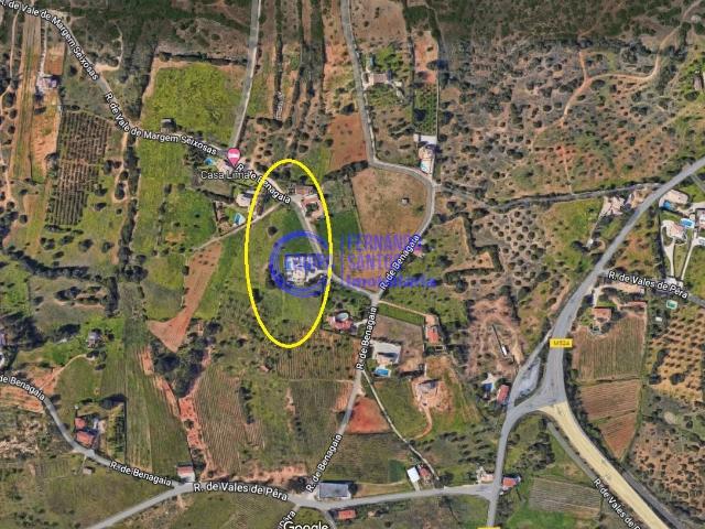 Terreno venda em Pêra