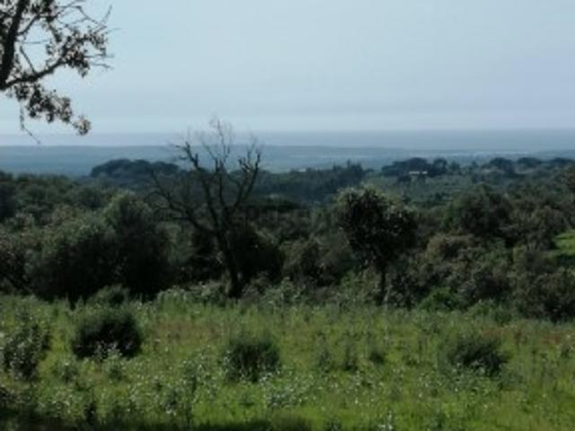 Terreno venda em Grândola, Setúbal