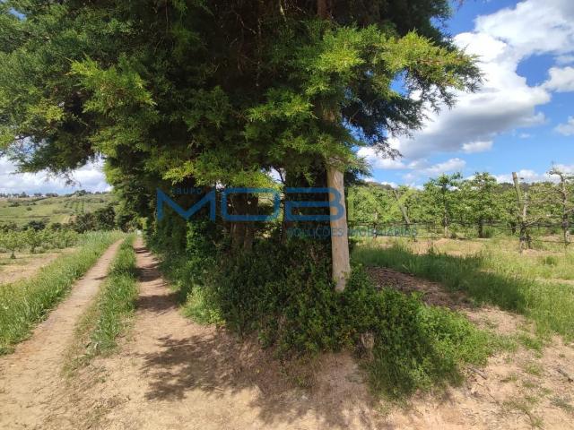 Terreno venda em Bombarral, Leiria