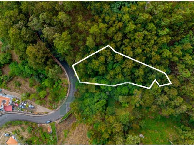 Terreno venda em Santa Cruz, Ilha Da Madeira