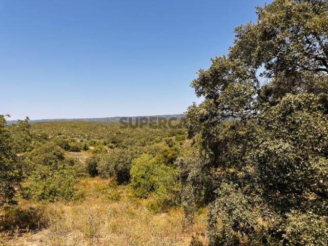 Terreno venda em Barranco de Apra, Loulé