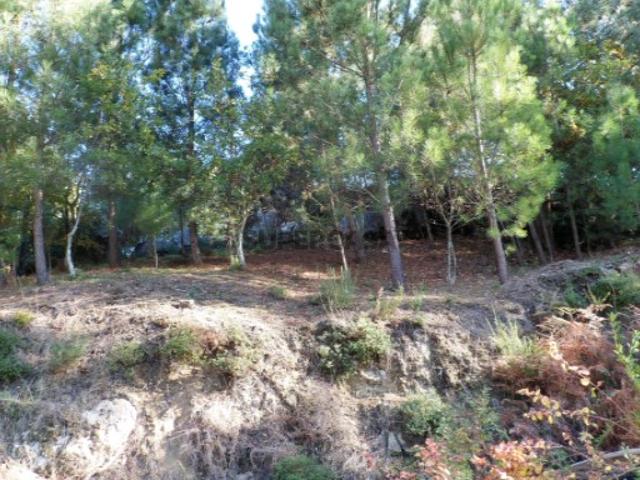 Terreno venda em Boalhosa, Viana Do Castelo