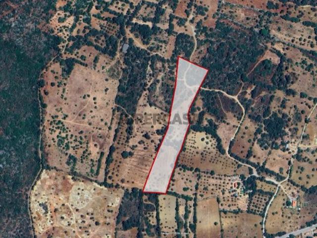 Terreno venda em São Brás De Alportel, Faro