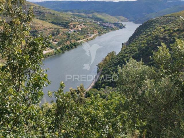 Terreno venda em Peso Da Régua, Vila Real