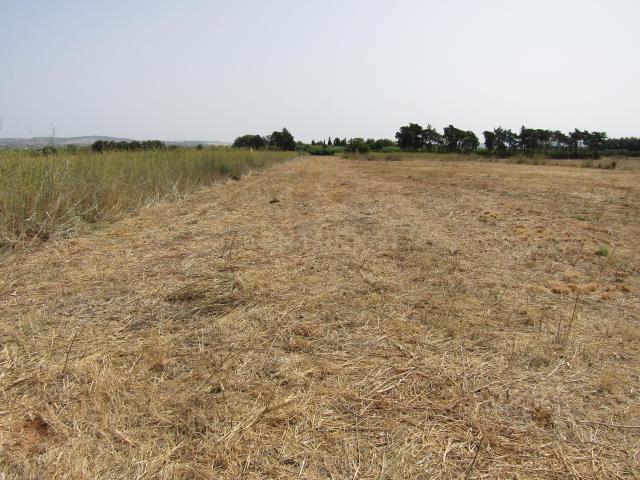 Terreno venda em Albufeira e Olhos de Água, Albufeira