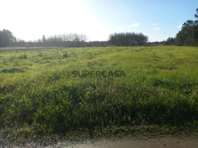 Terreno venda em Oliveira Do Bairro, Aveiro