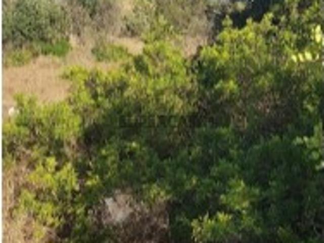 Terreno venda em Albufeira