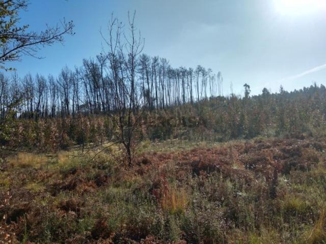 Terreno venda em Oliveira Do Bairro, Aveiro