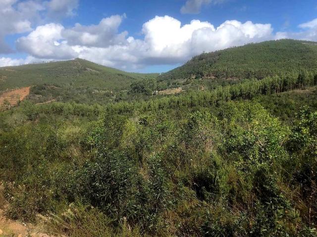 Terreno venda em São Teotónio, Odemira
