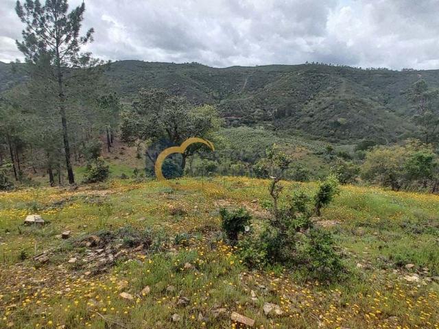 Quinta venda em São Bartolomeu De Messines, Faro